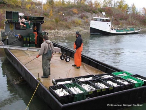Pair of bills would allow commercial harvest of game fish
