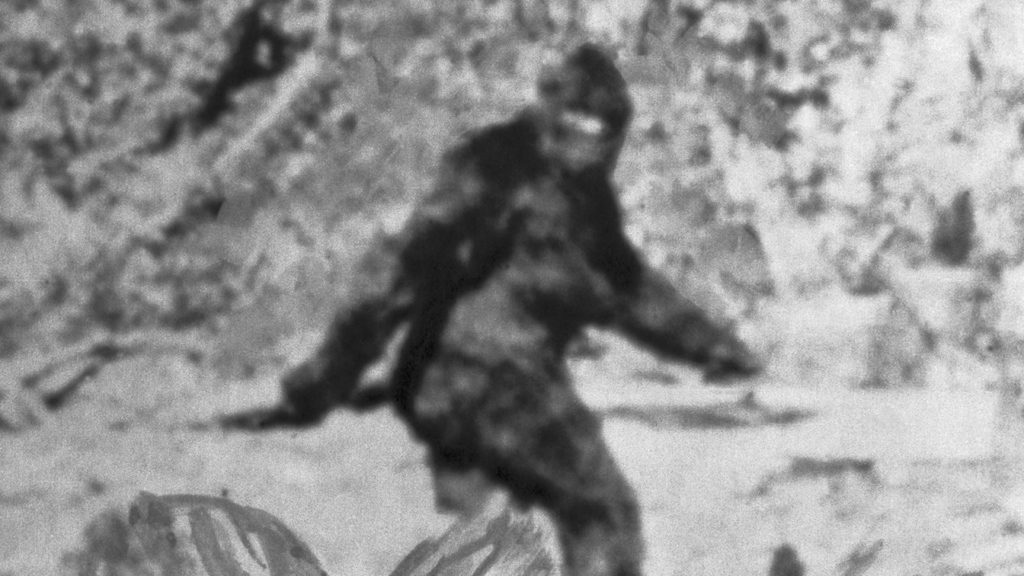 Chatting with a sasquatch witness