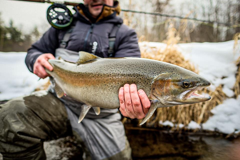 December NRC: Steelhead bag limits lowered on select streams, year-round  walleye fishing opened on the lower Saginaw River - Michigan United  Conservation Clubs