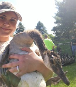 Habitat Program Coordinator holding a goose