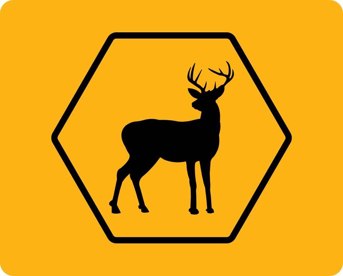 deer-graphic